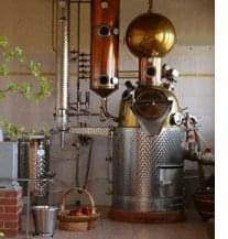 palinka