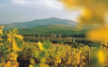 tokaj_hegyalja