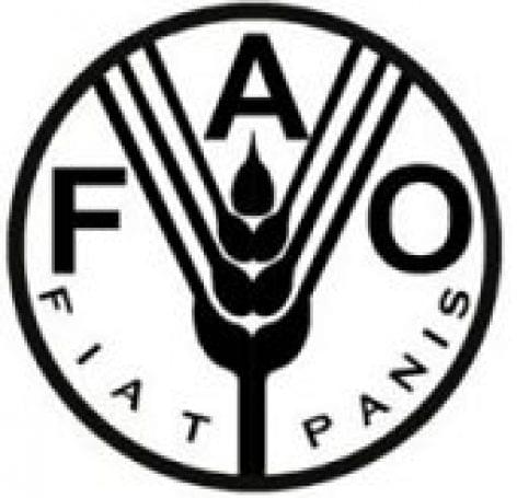 FAO food report schedules for sustainable development