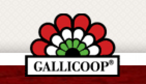 A tervezettnél több jutott fejlesztésre a Gallicoopnál