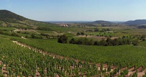 A bor és gasztronómia hétvégéje Tokaj-Hegyalján