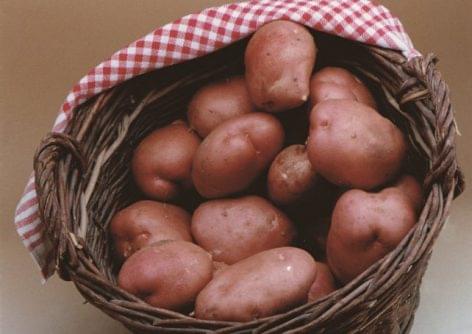 The first potato production in Sweden was sold for a two hundred times higher price than the average price