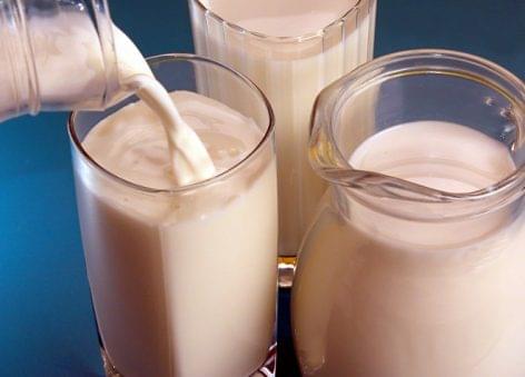 FM: 43 billion HUF support for the dairy sector next year