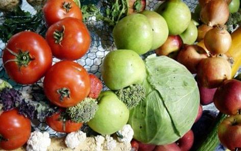 Félmillió tonnával kevesebb zöldség-gyümölcs termett idén, mint tavaly