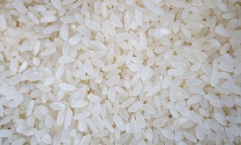 The world's rice production is increasing