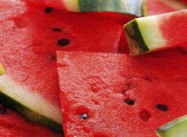 Watermelon will become very expensive