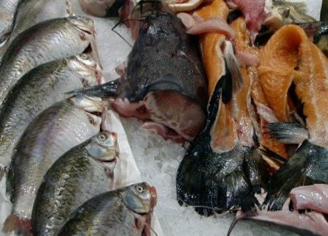 Emelkedett a halgazdálkodásra fordítható pályázati források összege