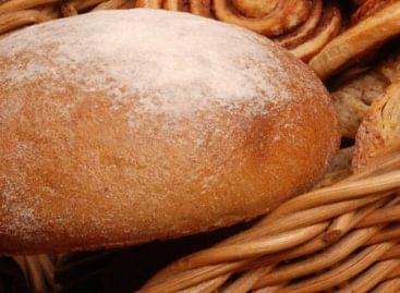 Bread Alliance: the baking industry sells white and half-brown bread below real prices