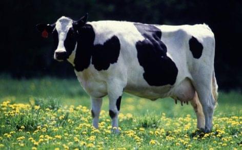 Az új-zélandi tejtermelő gazdaságok vízlábnyomának elemzése kérdőjeleket hagyott maga után