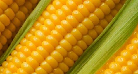 New “Smart” Food Packaging Made From Corn