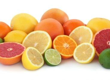 A Nébih a növényvédőszer-mentes citrusfélékért