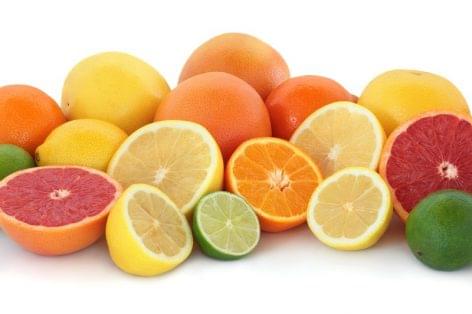 (HU) A Nébih a növényvédőszer-mentes citrusfélékért