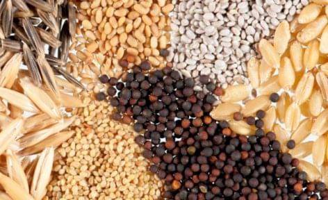 The Hungarian seed sector remains in the forefront of the world with innovations