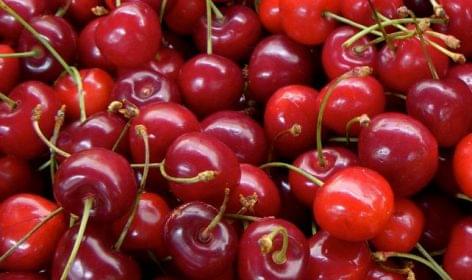The price of cherries increased significantly