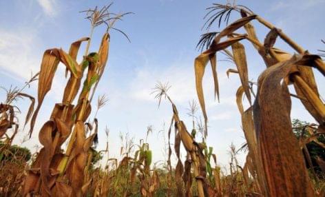 Agrárminiszter: a klímaváltozás gyakorlati megoldások kidolgozását igényli