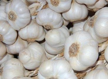 More and more imports of garlic in Hungary