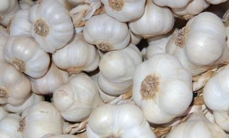 Chinese garlic exports fell