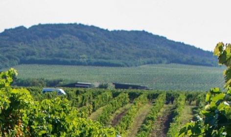 The Hungarian and Croatian wine regions would be merged