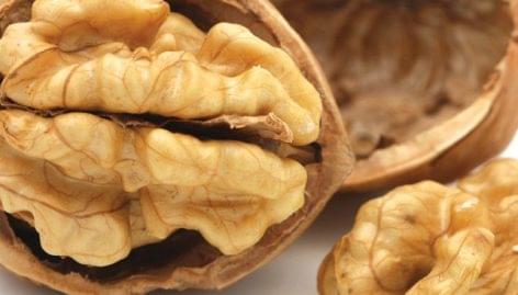 FruitveB: nut harvest will be weak this year