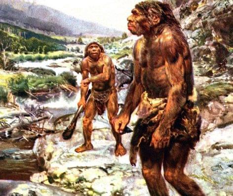 A neandervölgyi ember 80 százalékban húst, 20 százalékban zöldséget evett