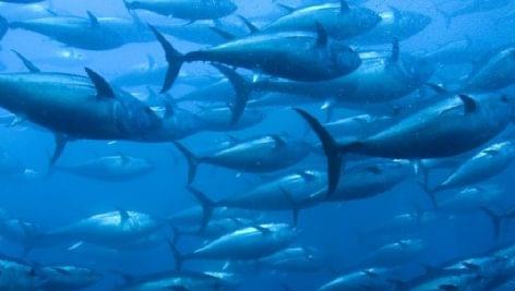 Tuna supply is in trouble