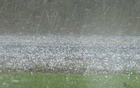 Chamber of Agriculture: the hail damage mitigation system is effective