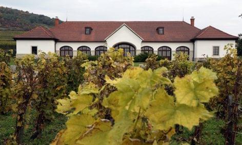 The Patricius Winery has become the Winery of the Year