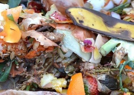 UN: food waste has huge costs and is a major contributor to climate change
