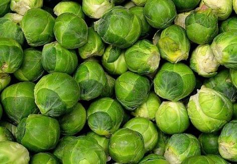 Cabbage shortages may cause kitchen emergency in a country