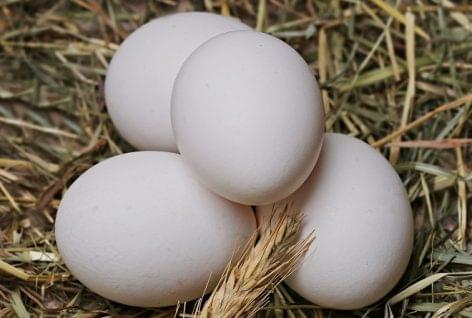 Egg prices increased