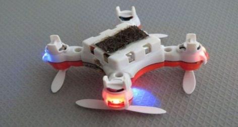 Drónok léphetnek a pusztuló méhek helyébe