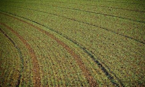 Soil prices continued to increase last year