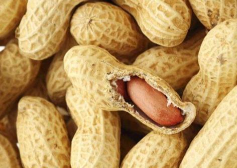 Peanut production can grow multiple times thanks to a new technology