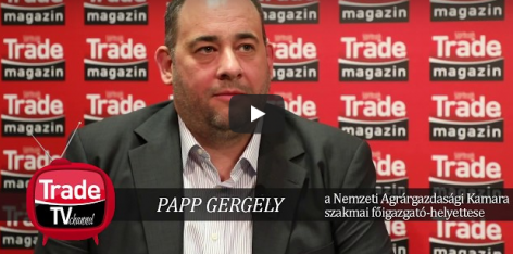Business Days 2017 interjú – Papp Gergely
