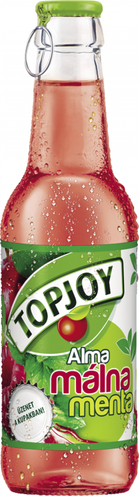 Topjoy 0,25 l new flavours