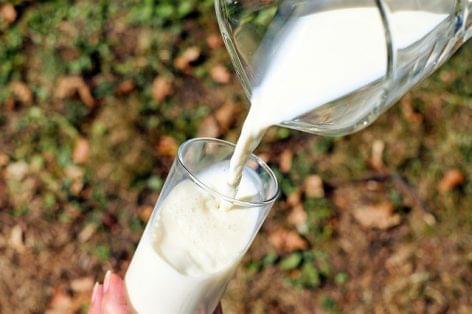 Szörfölés a tejtengeren
