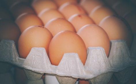 Hungary imported less and exported more egg