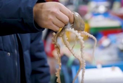 A truly authentic fish-market in the 21st century – Video of the day