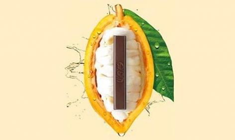 Nestlé invents the first 70% dark chocolate made entirely from the cocoa fruit and nothing else