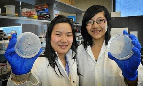 Műanyagevő baktériumot „fejlesztett ki” két hallgató