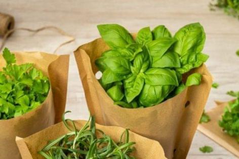 Friss fűszernövények fenntartható csomagolásban az Asdától