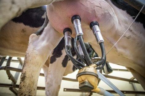 Magazine: Stable raw milk prices, worsening sales results