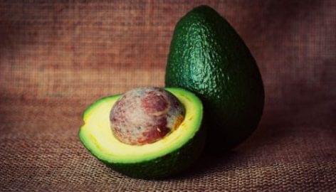 Netto Marken-Discount Introduces ‘Apeel’ Coated Avocados
