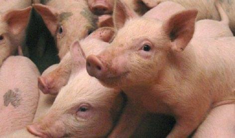 A campaign to encourage the consumption of pork is launched