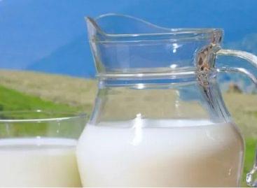 A campaign to promote milk consumption to be launched