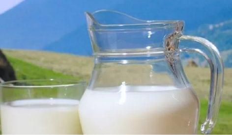 Consuming low fat milk increases the biological age of the adult body more slowly