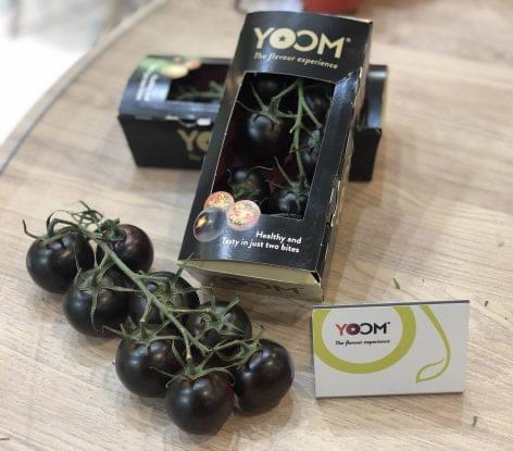 A Syngenta YOOM™ paradicsoma nyerte az idei Fruit Logistica Innovációs Nagydíját