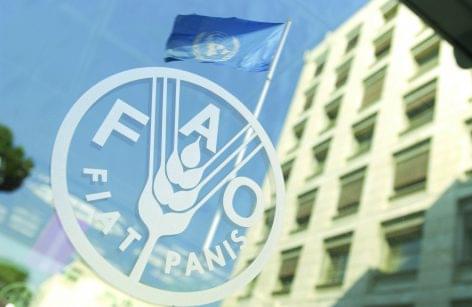 FAO: mélyponton az élelmiszerárak a koronavírus miatt