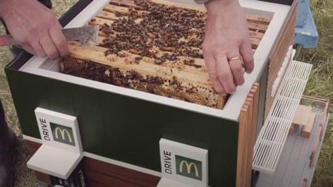 A Tiny Bee Restaurant as an Actual Hive – Video of the day
