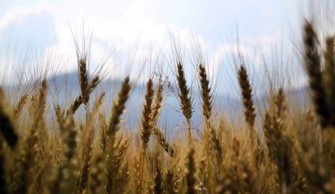 EU May Let Farmers Use Fallow Land As Ukraine War Hits Grain Supply